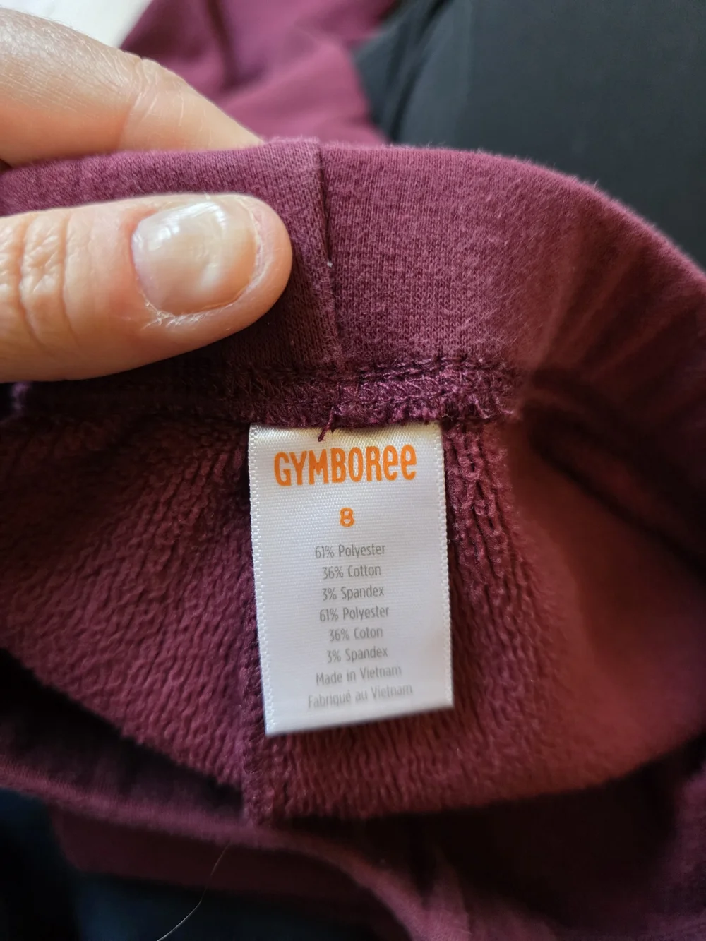 Gymboree Maroon Kids Fleece Leggings